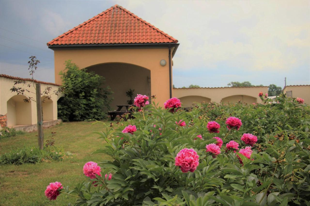 Blankenfeldes Muiza Otel Tērvete Dış mekan fotoğraf